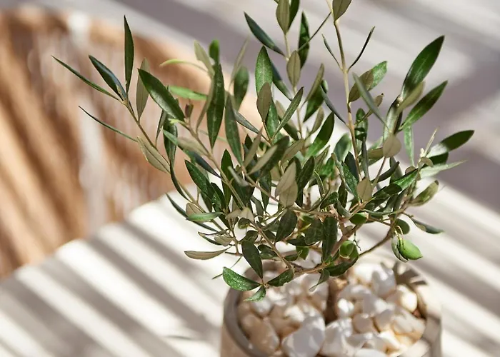 Summer Senses Luxury 5* Logaras